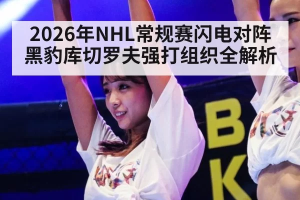2026年NHL常规赛闪电对阵黑豹库切罗夫强打组织全解析